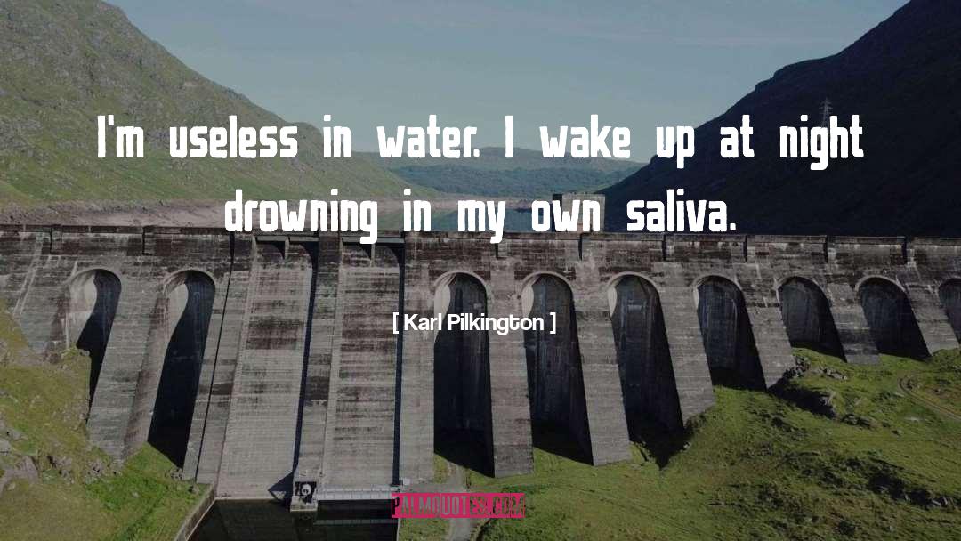 Drowning quotes by Karl Pilkington