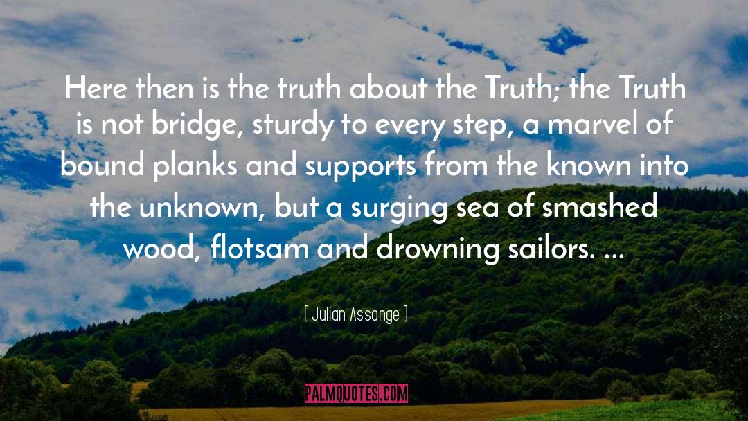 Drowning quotes by Julian Assange