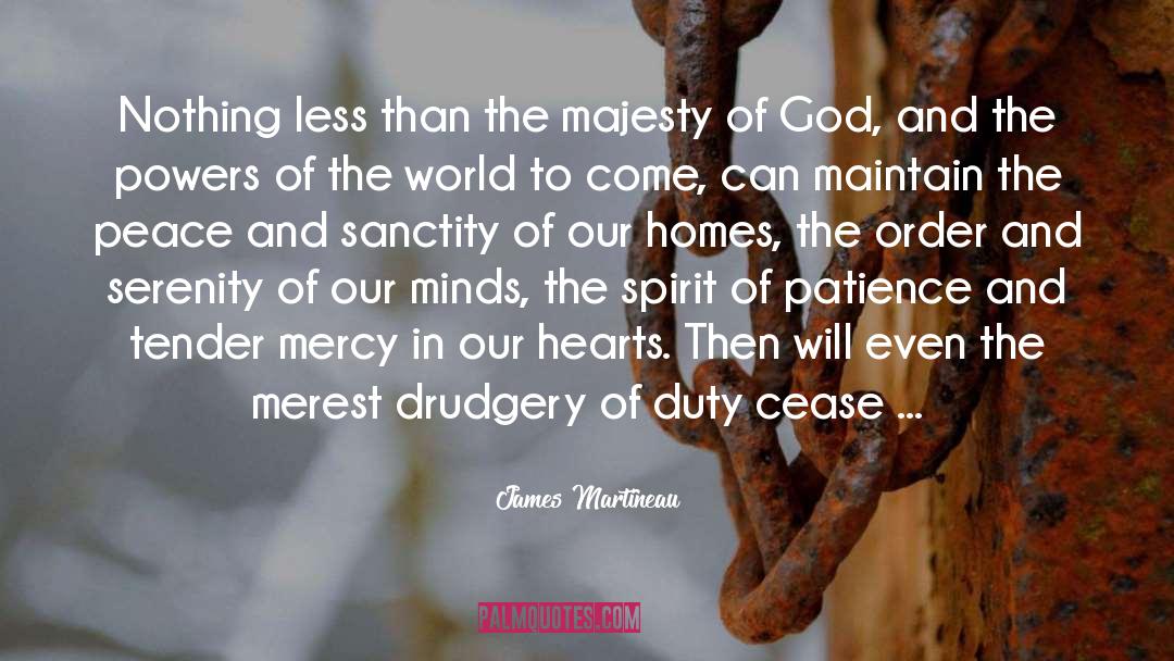 Drudgery quotes by James Martineau