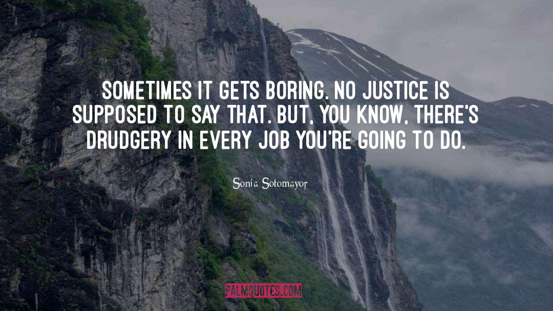 Drudgery quotes by Sonia Sotomayor