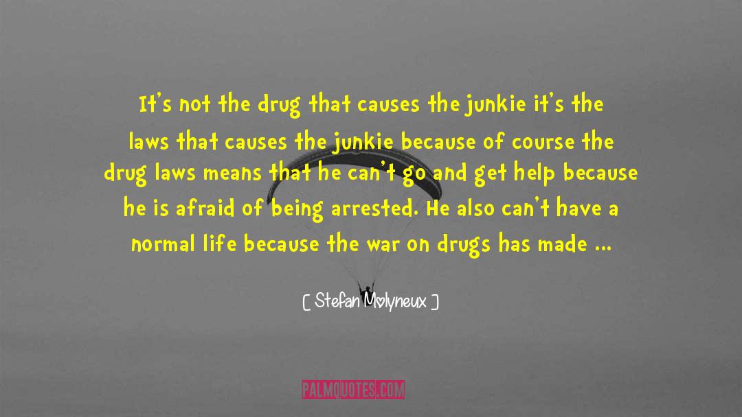 Drug Addict quotes by Stefan Molyneux