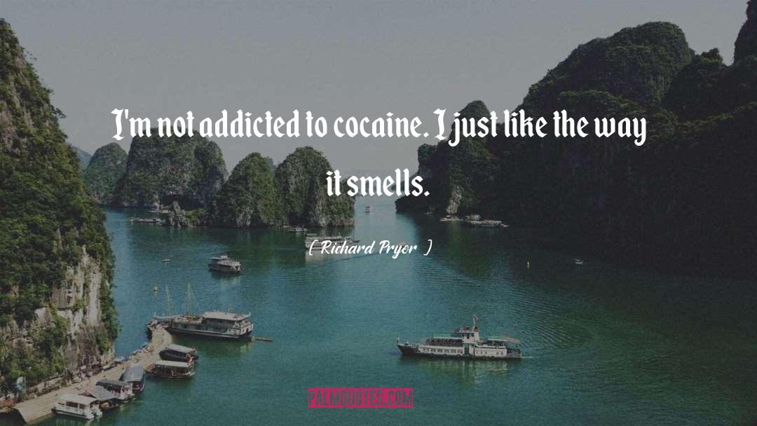 Drug Addict quotes by Richard Pryor