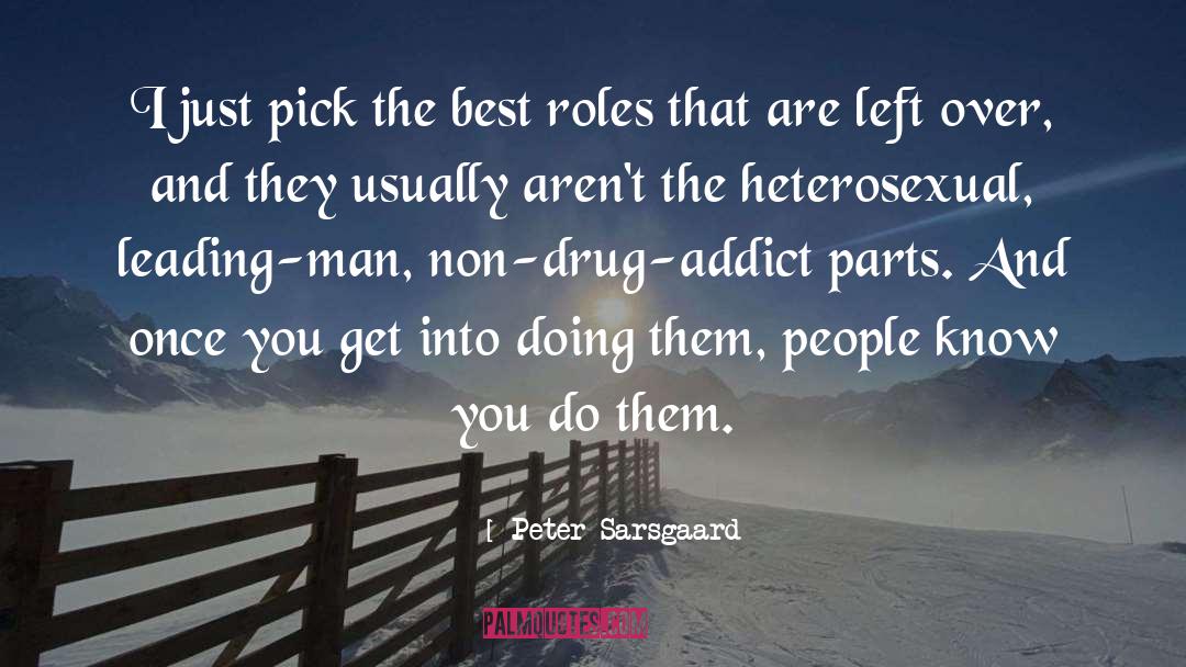 Drug Addict quotes by Peter Sarsgaard