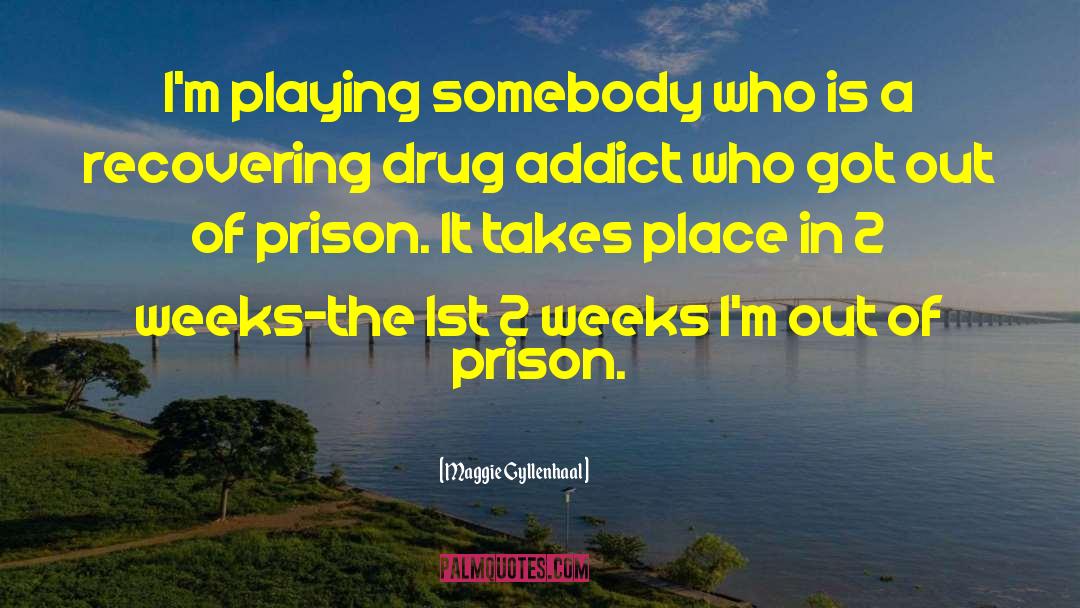 Drug Addict quotes by Maggie Gyllenhaal