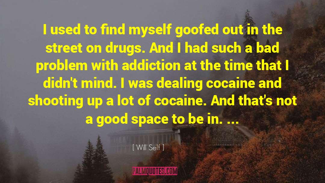 Drug Addiction Recover quotes by Will Self