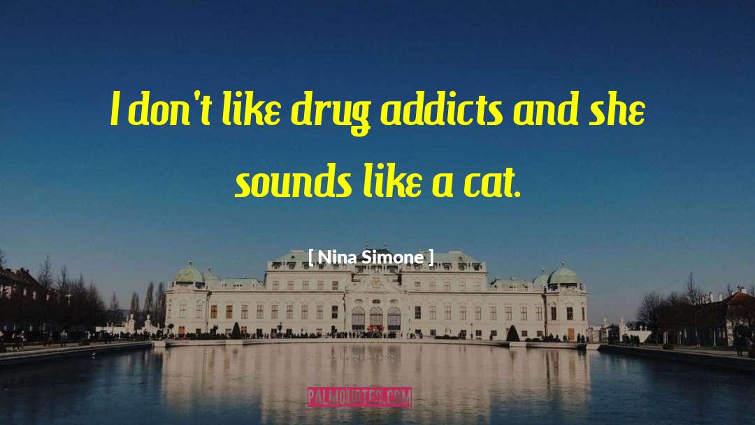 Drug Addicts quotes by Nina Simone