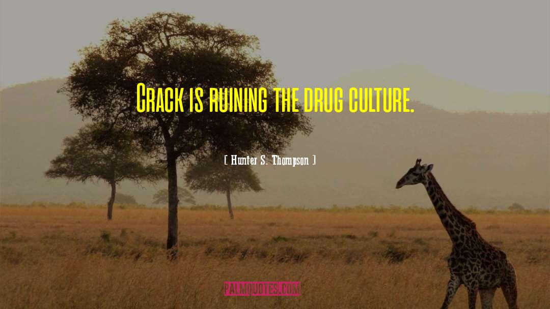 Drug Addicts quotes by Hunter S. Thompson