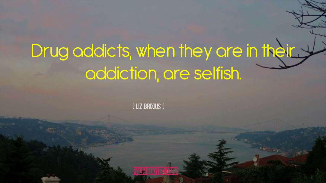 Drug Addicts quotes by Liz Brixius