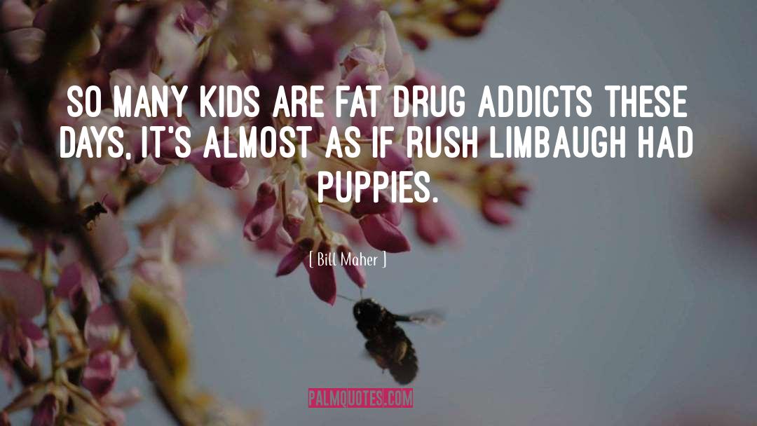 Drug Addicts quotes by Bill Maher