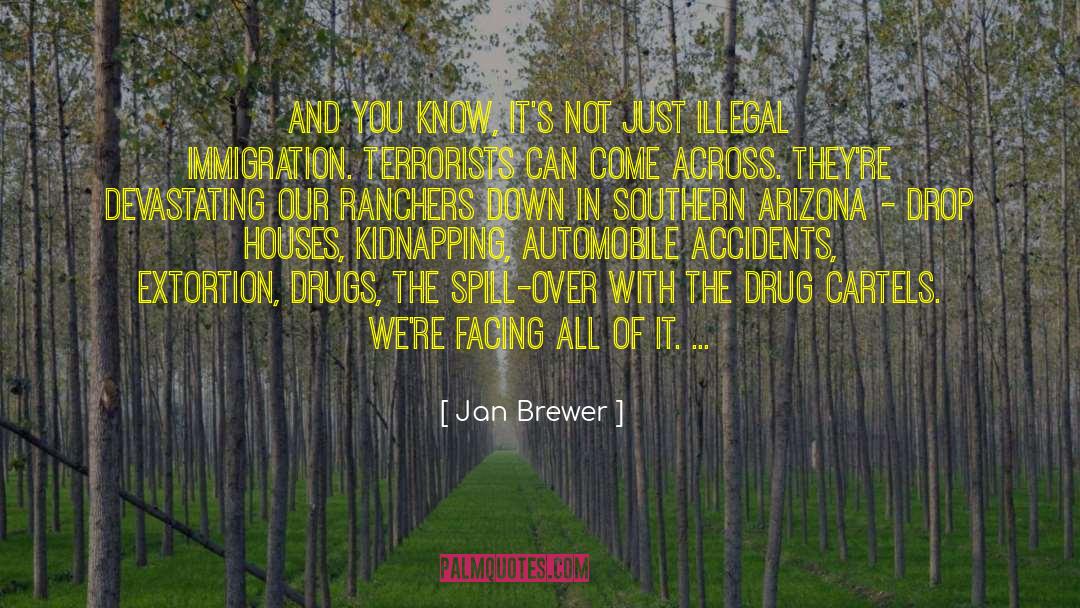 Drug Cartels quotes by Jan Brewer