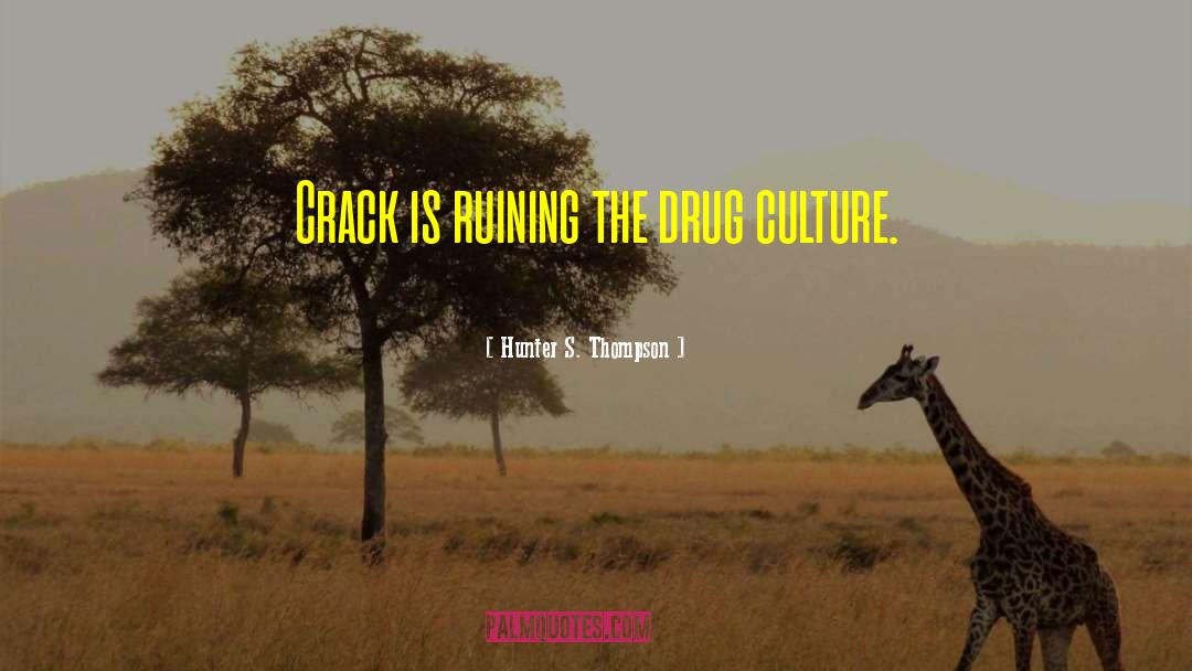 Drug Culture quotes by Hunter S. Thompson