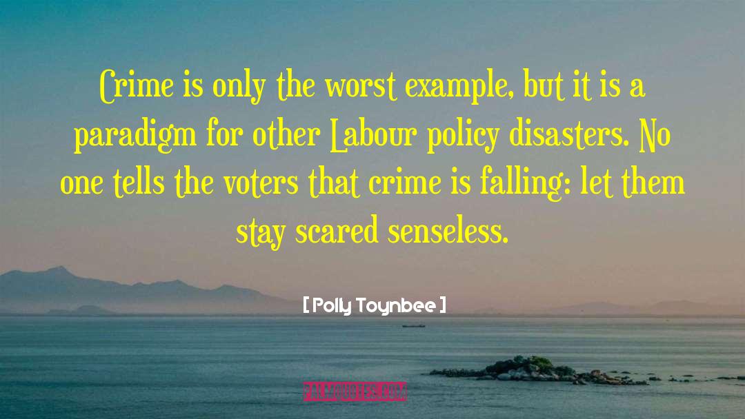 Drug Policy quotes by Polly Toynbee