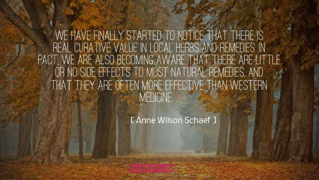 Drug Side Effects quotes by Anne Wilson Schaef