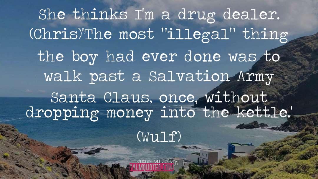Drug Smuggling quotes by Sherrilyn Kenyon