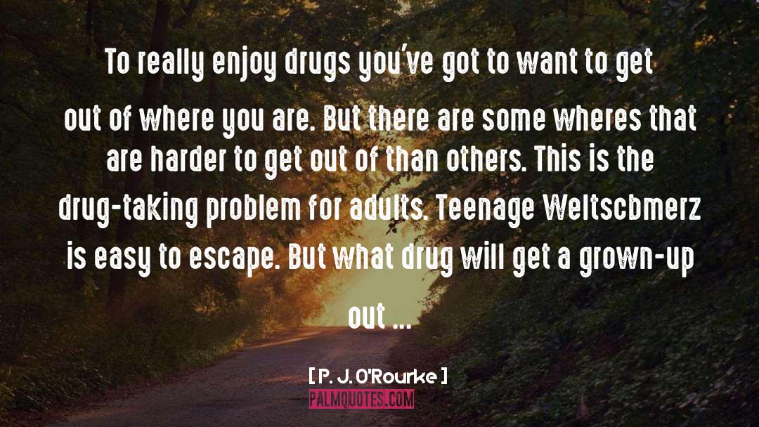 Drug Taking quotes by P. J. O'Rourke