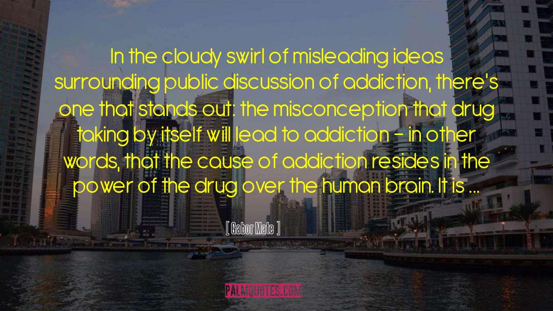 Drug Taking quotes by Gabor Mate