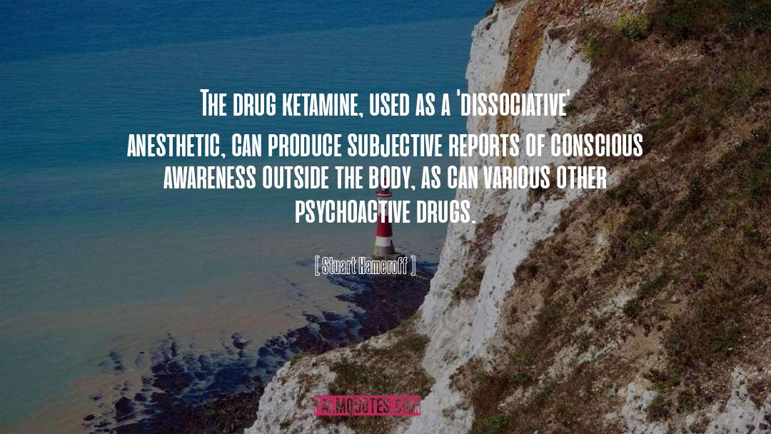 Drug Trip quotes by Stuart Hameroff