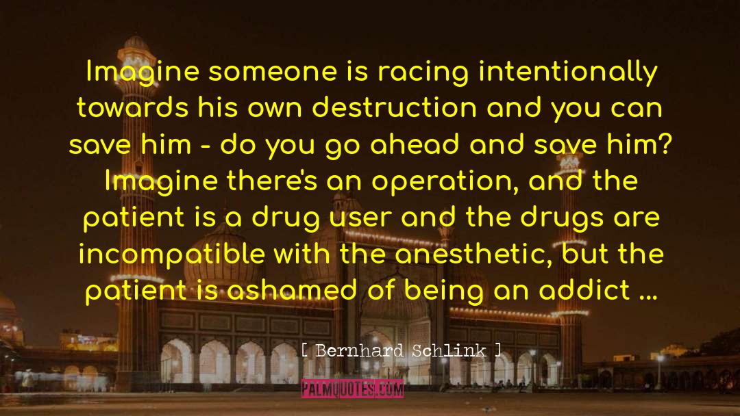 Drug User quotes by Bernhard Schlink