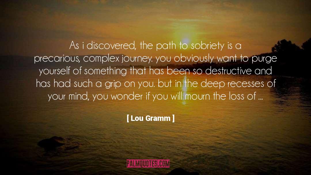 Drugg Addiction quotes by Lou Gramm