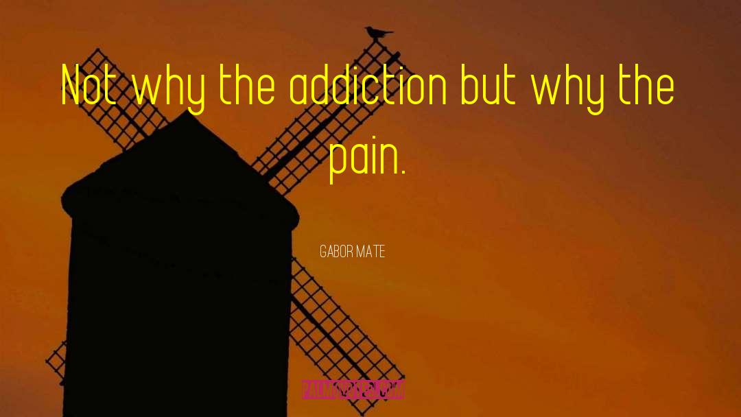 Drugg Addiction quotes by Gabor Mate