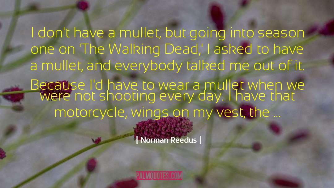 Druggy On Motorcycle quotes by Norman Reedus