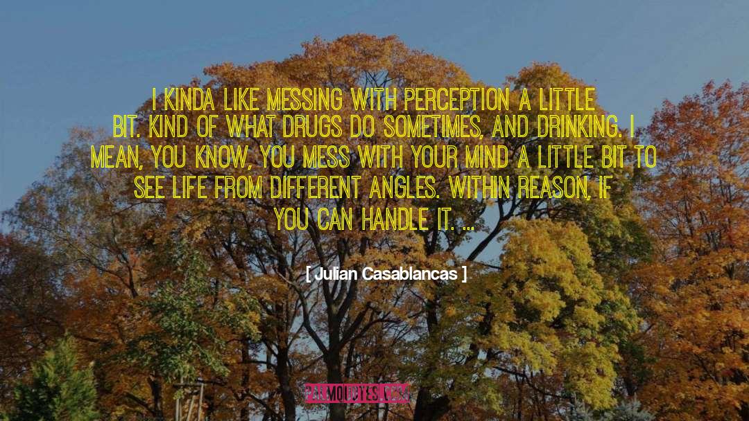 Drugs Addiction quotes by Julian Casablancas