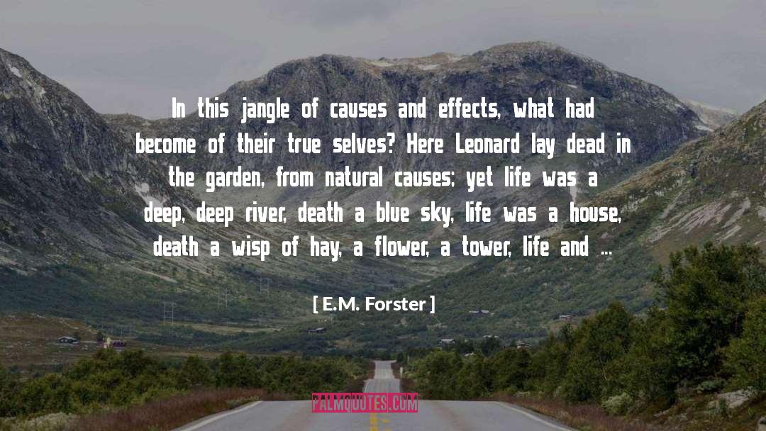 Drugs Death Life quotes by E.M. Forster