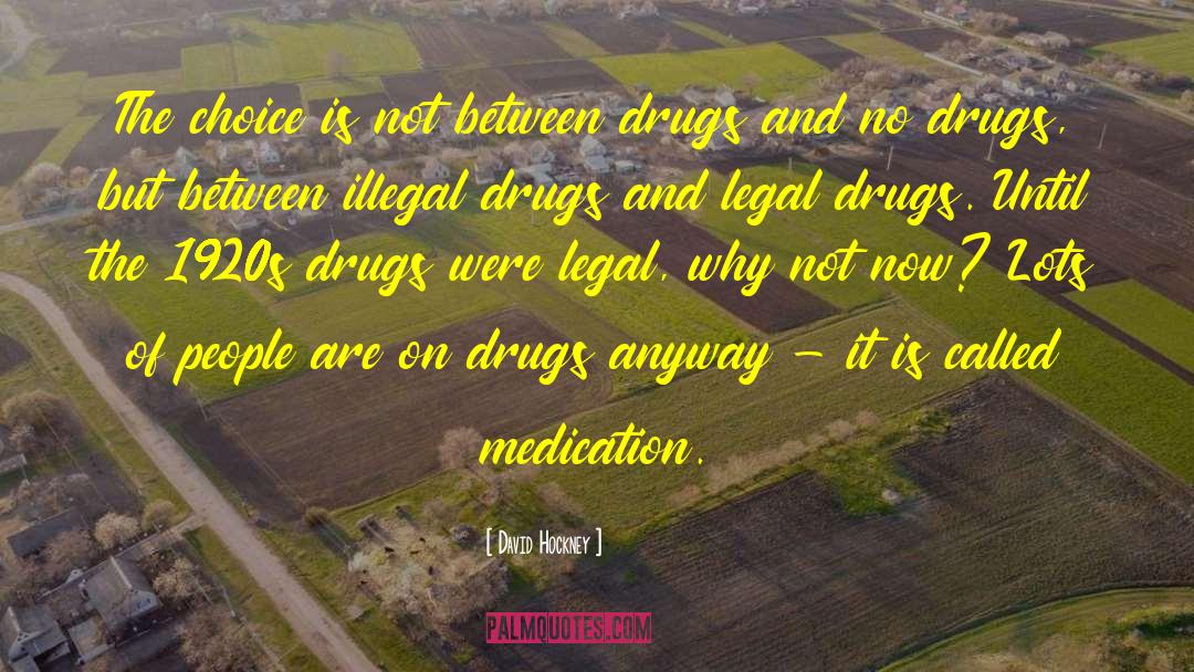 Drugs Destroy Lives quotes by David Hockney