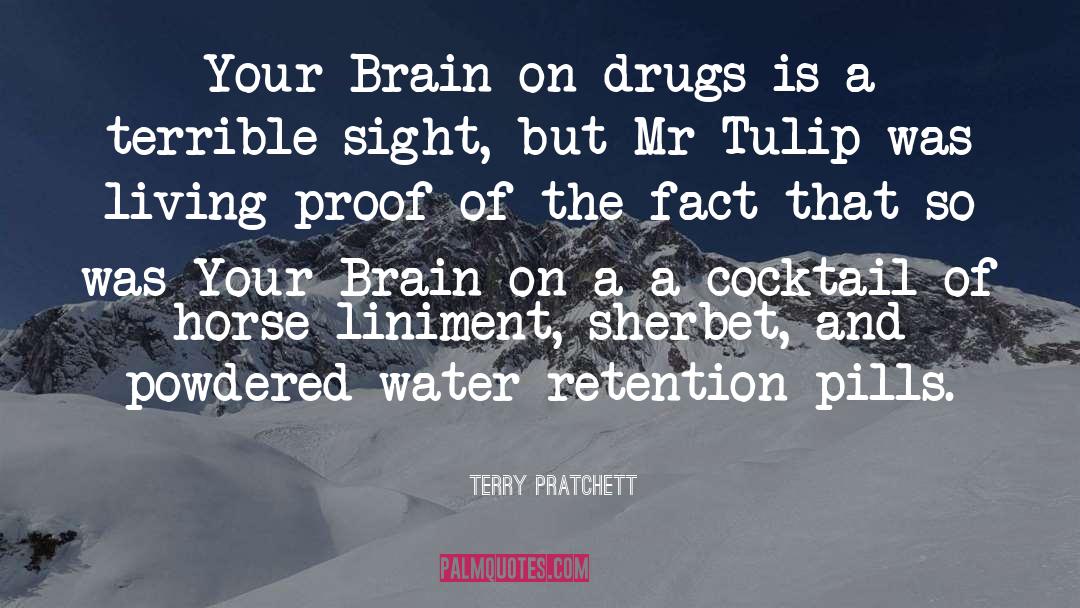 Drugs quotes by Terry Pratchett