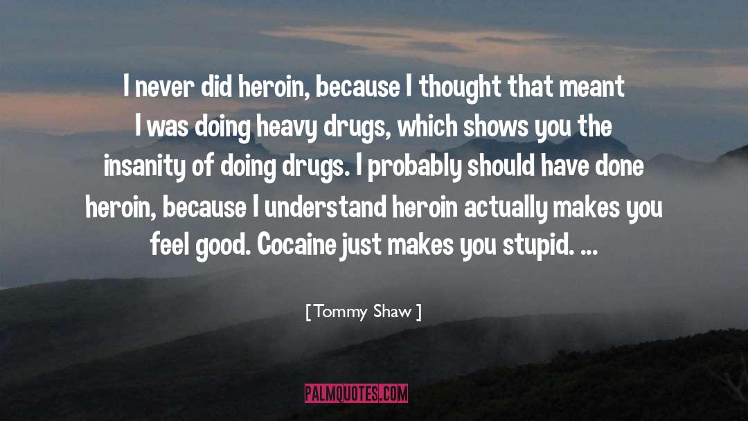 Drugs quotes by Tommy Shaw