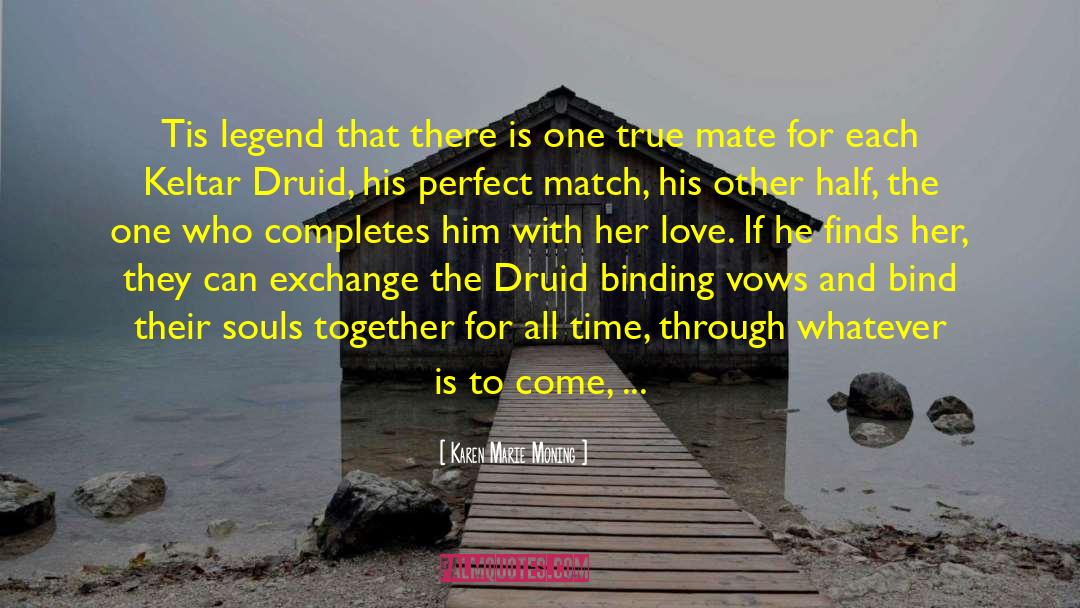 Druid quotes by Karen Marie Moning