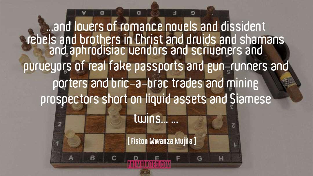 Druids quotes by Fiston Mwanza Mujila