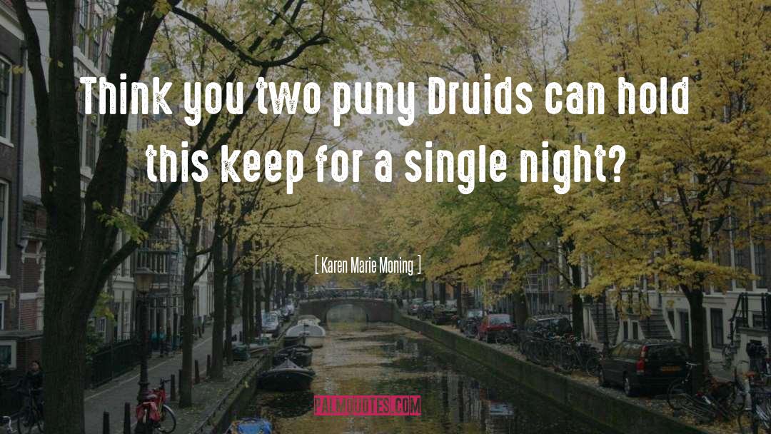 Druids quotes by Karen Marie Moning