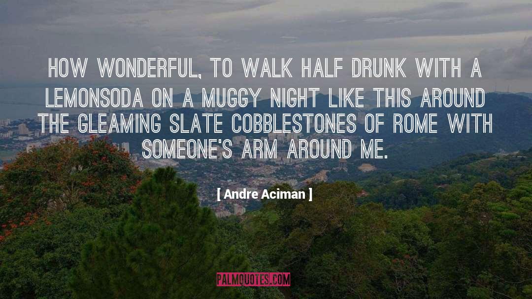 Drunk Night quotes by Andre Aciman