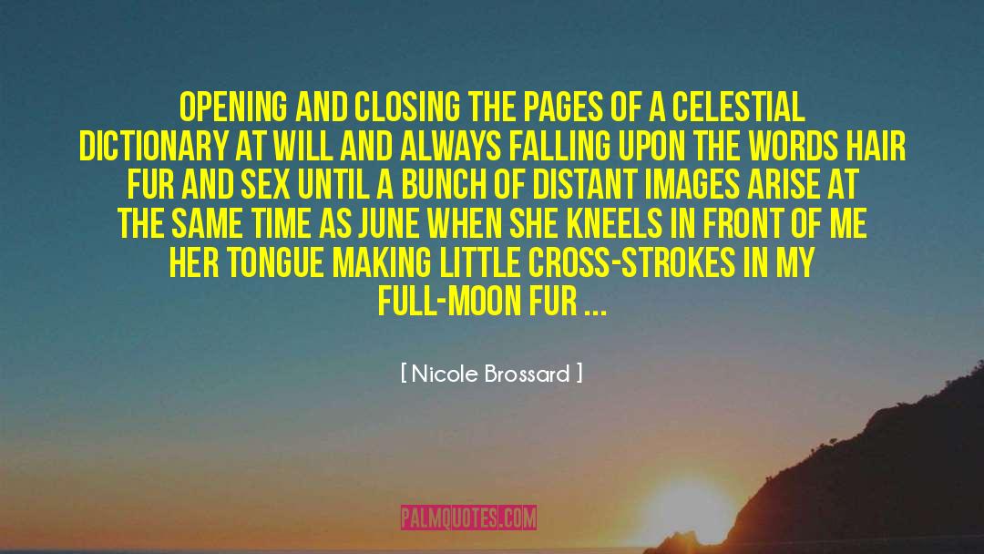 Drunk Sex quotes by Nicole Brossard