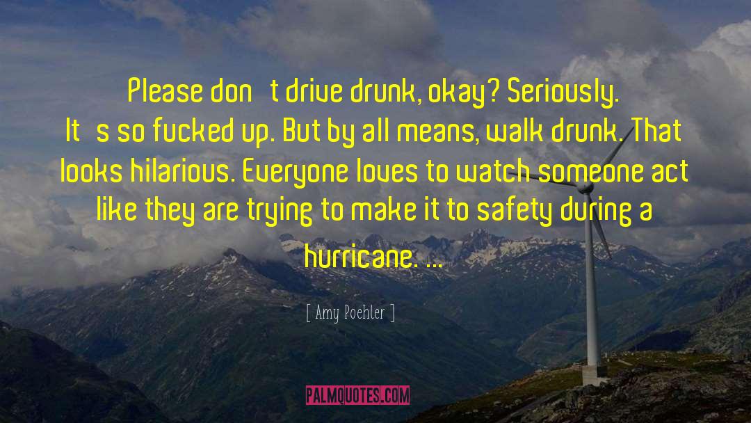 Drunkenness quotes by Amy Poehler