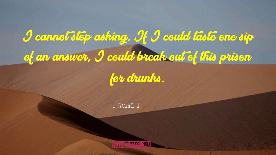 Drunks quotes by Rumi