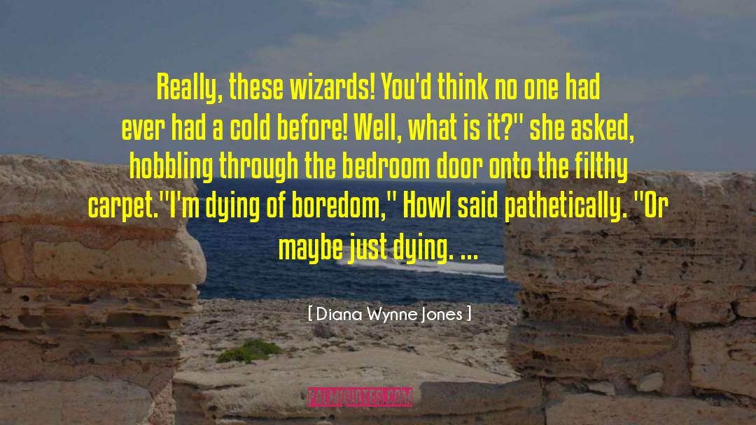 Dry Humor quotes by Diana Wynne Jones