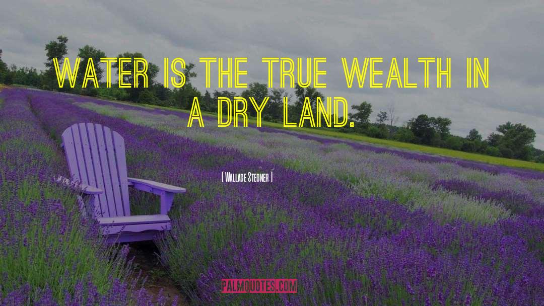 Dry Land quotes by Wallace Stegner