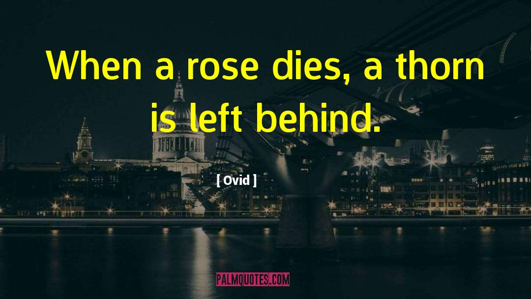 Dry Rose quotes by Ovid