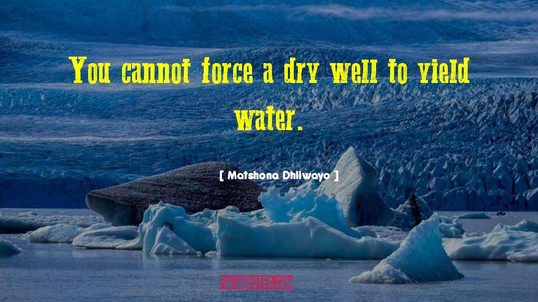 Dry Well quotes by Matshona Dhliwayo