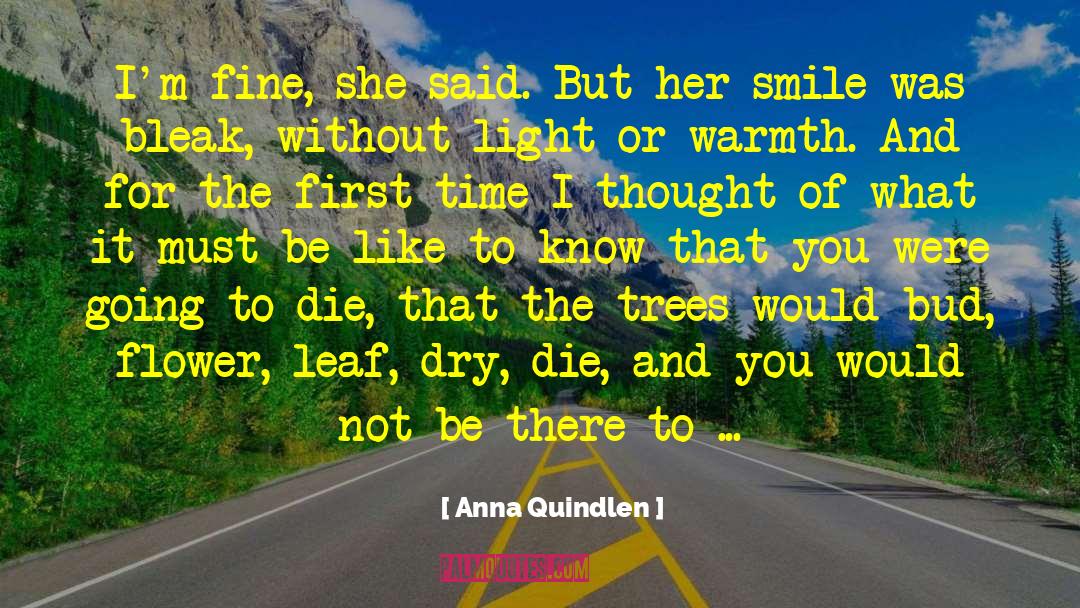 Dry Well quotes by Anna Quindlen