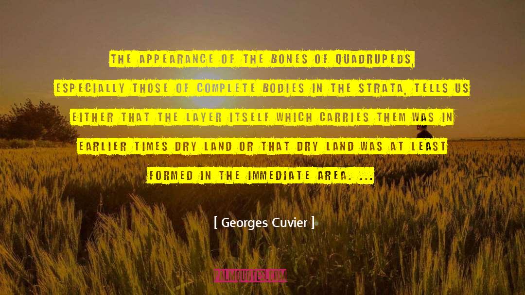 Dry Well quotes by Georges Cuvier