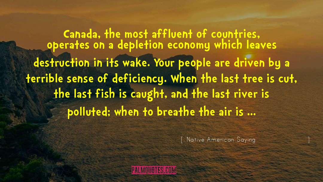 Drygalski In Canada quotes by Native American Saying