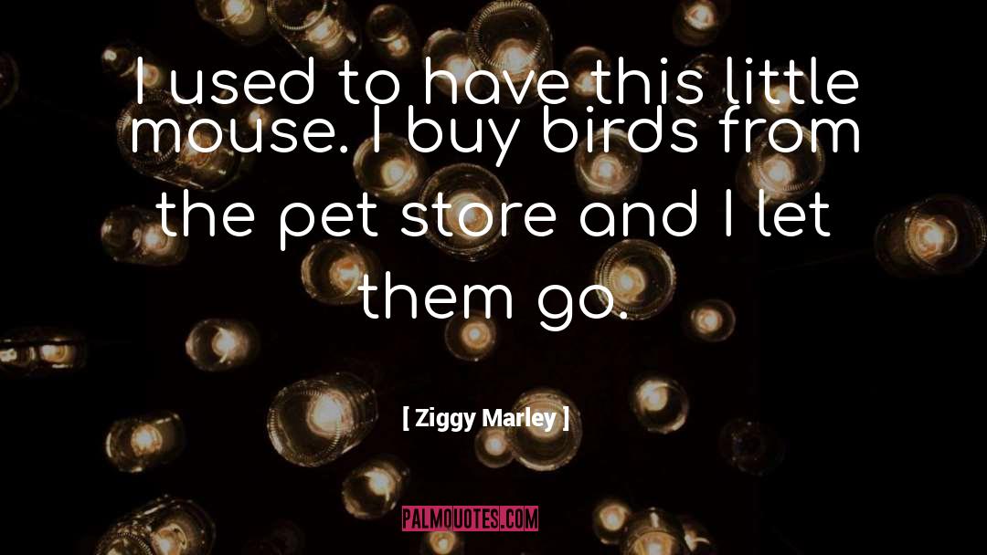 Dtails Pet Grooming quotes by Ziggy Marley