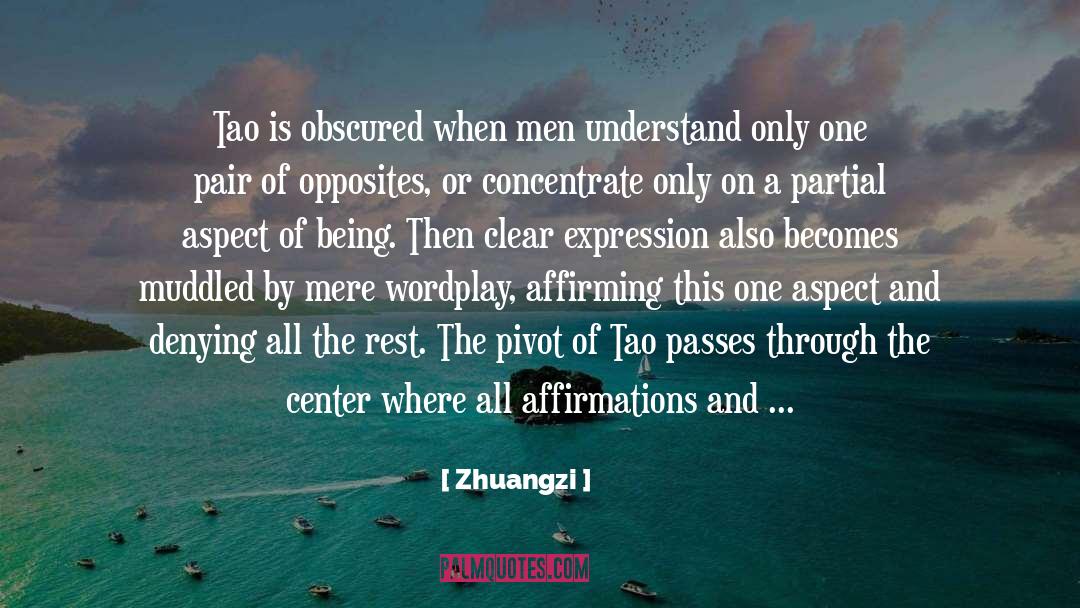 Duality Of Opposites quotes by Zhuangzi