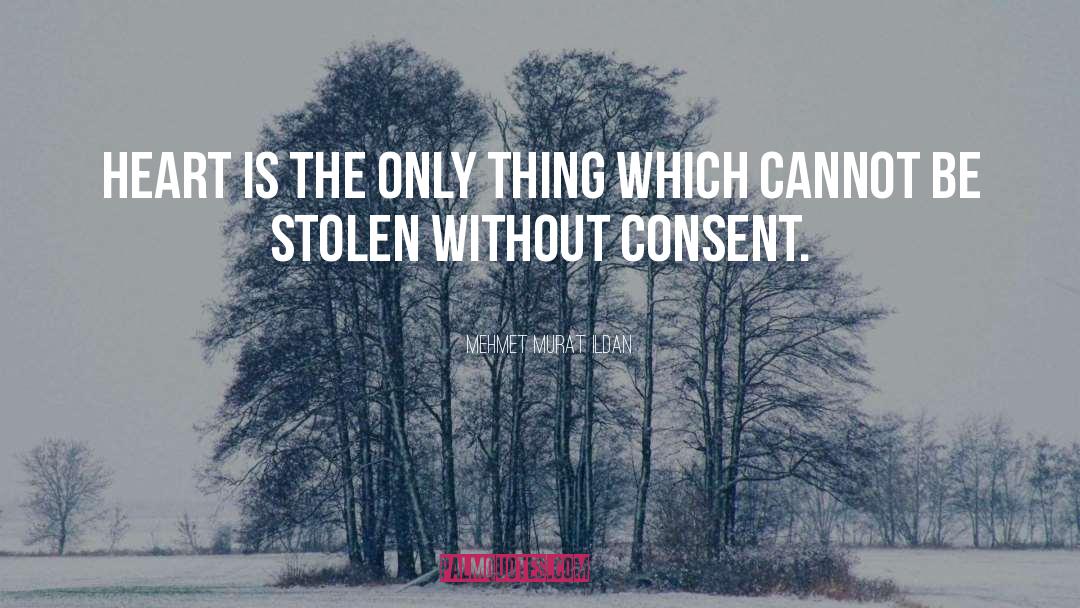 Dubious Consent quotes by Mehmet Murat Ildan