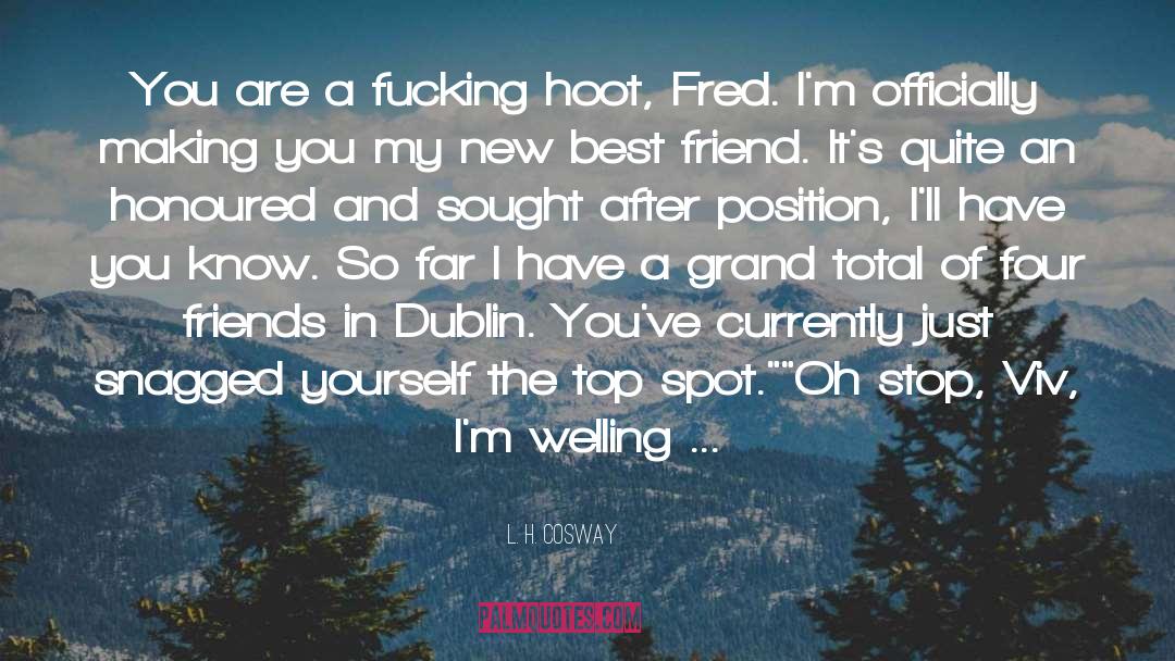 Dublin quotes by L. H. Cosway