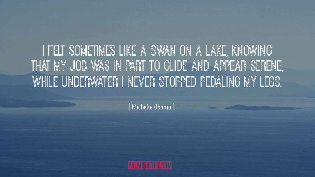 Duchess Swan quotes by Michelle Obama