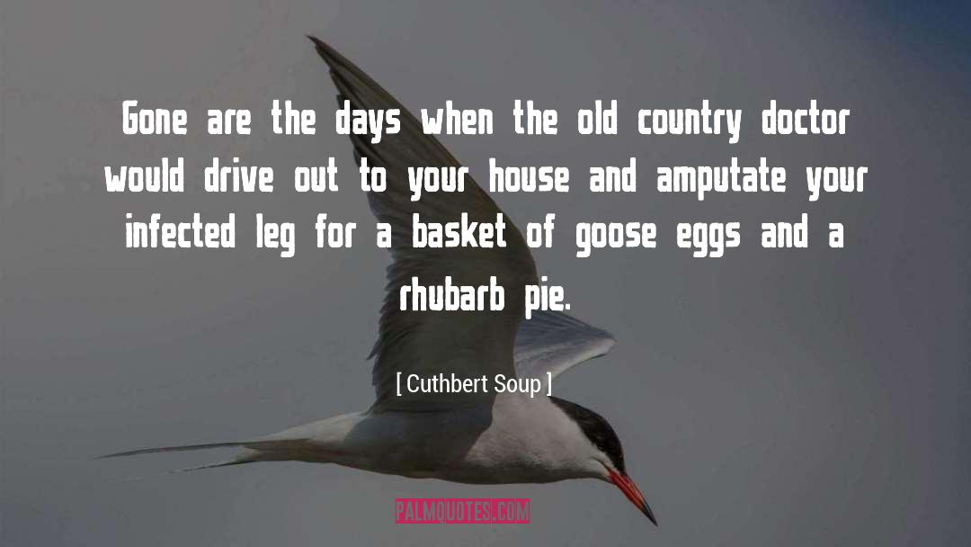Duck And Goose Hunting quotes by Cuthbert Soup